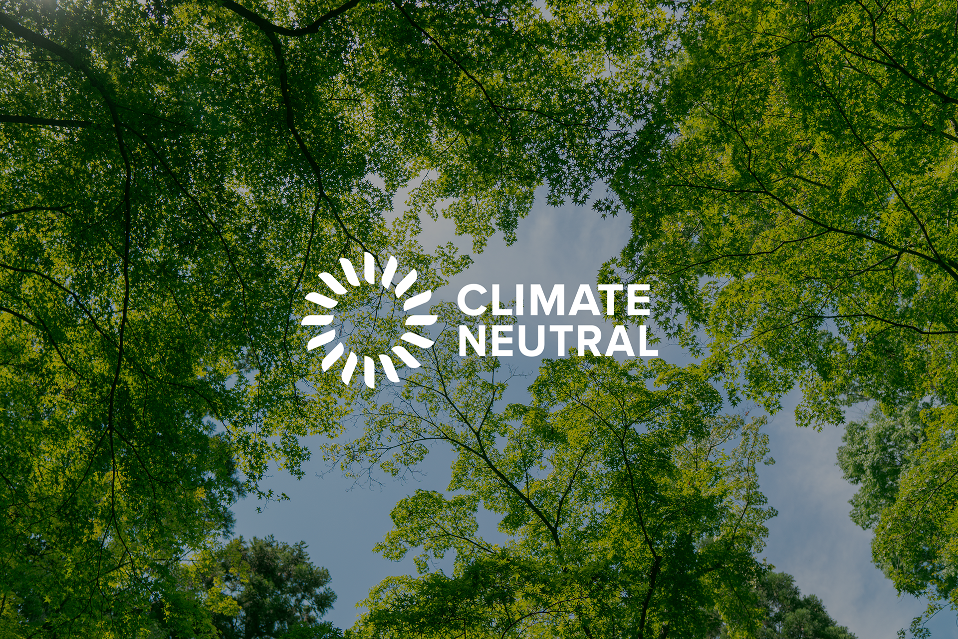 ZWS Is Carbon Neutral! Conquer Your Footprint with Carbon Offsetting