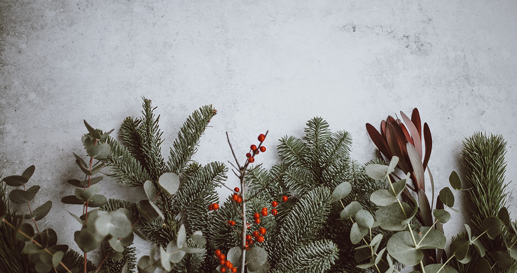 8 Easy Ways To Unwrap An Eco-Friendly Christmas Season