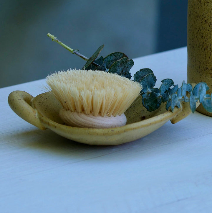 Ceramic dish with natural bristle brush and greenery on a white surface