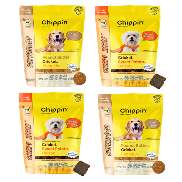 Gut-Healthy Dog Treat Variety Bundle