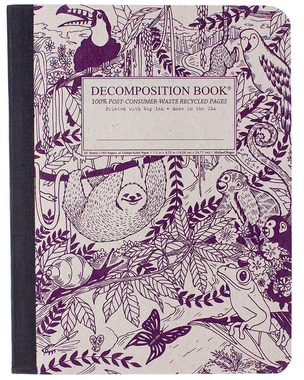 Ruled Decomposition Notebook