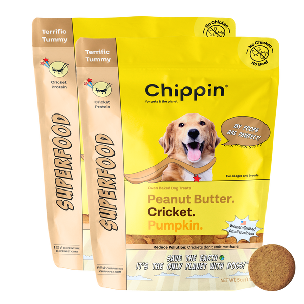 Superfood Cricket & Pumpkin Dog Treats, 2-Pack