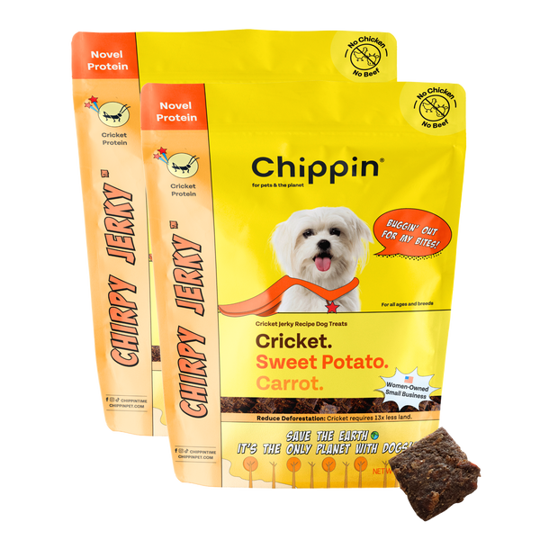 Cricket & Sweet Potato Jerky Dog Treats, 2 Pack
