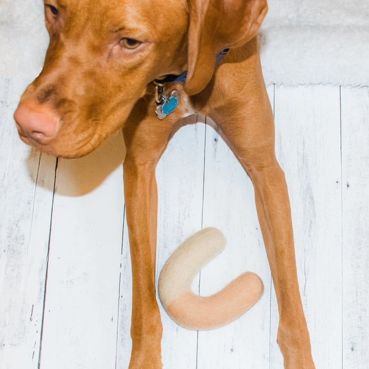 Awoo Archie Felt Dog Toy