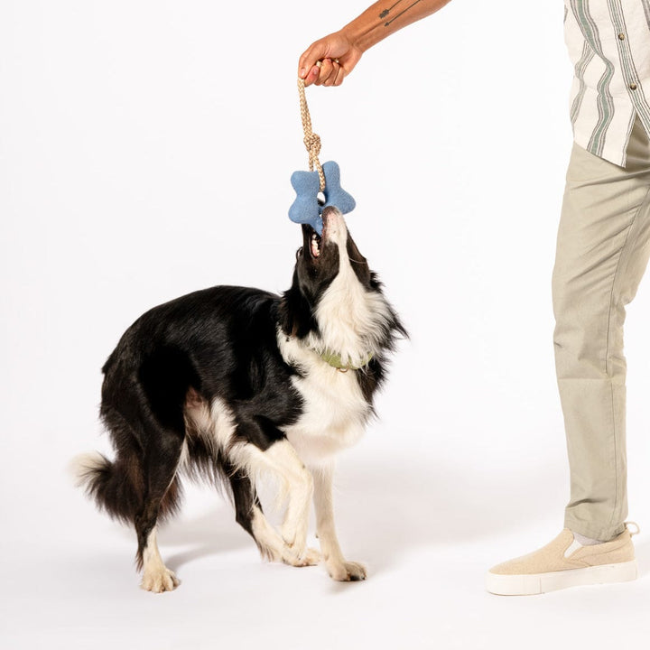 Awoo Comet's Tail Felt Toy