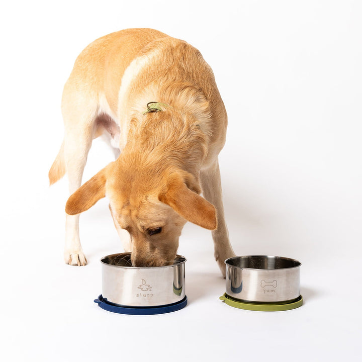 Awoo Dining Duo Stainless Steel Nesting Bowls