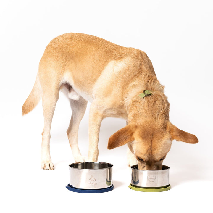 Awoo Dining Duo Stainless Steel Nesting Bowls