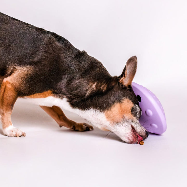 Awoo Flying Saucer Toy