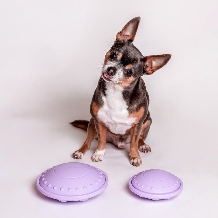 Awoo Flying Saucer Toy