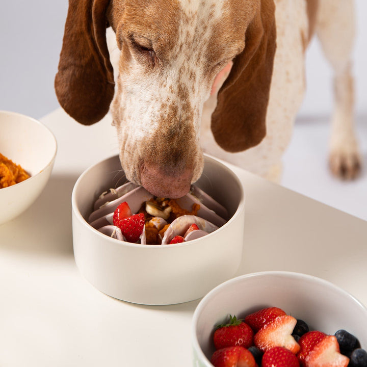 Awoo Good Vibes Slow Feeder Mat