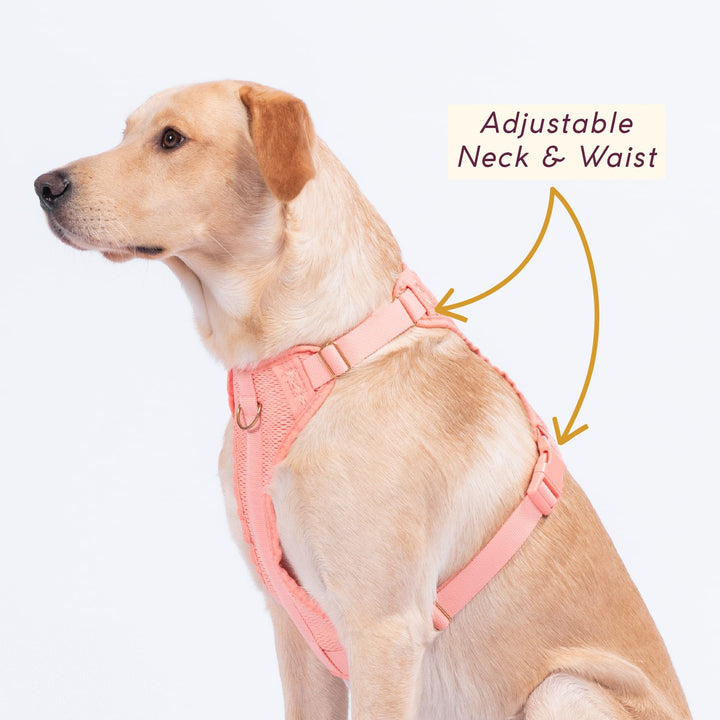 Awoo Huggie Dog Harness