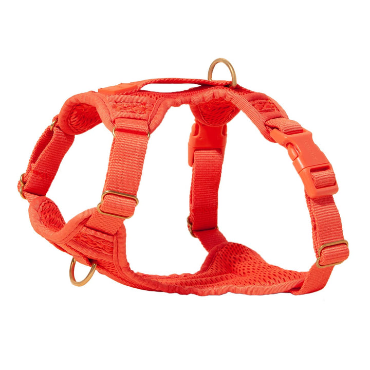 Awoo Huggie Dog Harness