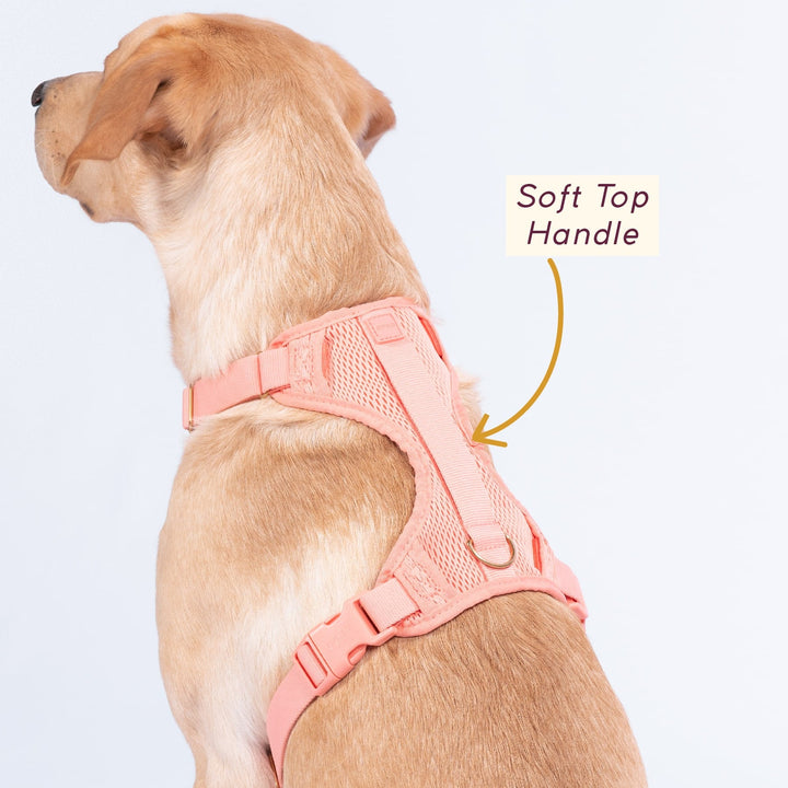 Awoo Huggie Dog Harness