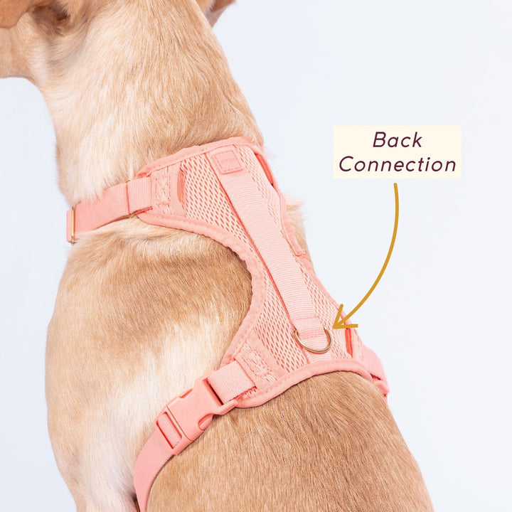 Awoo Huggie Dog Harness