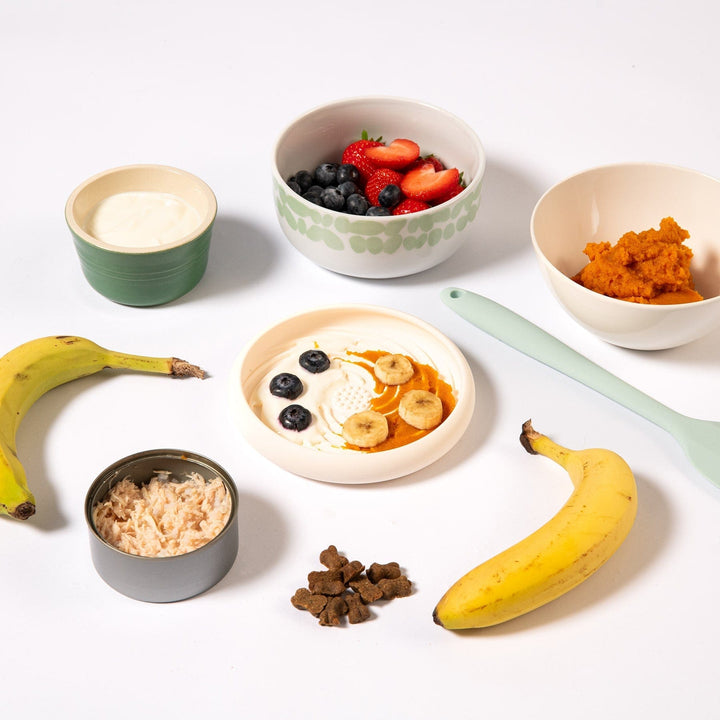 Awoo Lick Dish Slow Feeder For Dogs