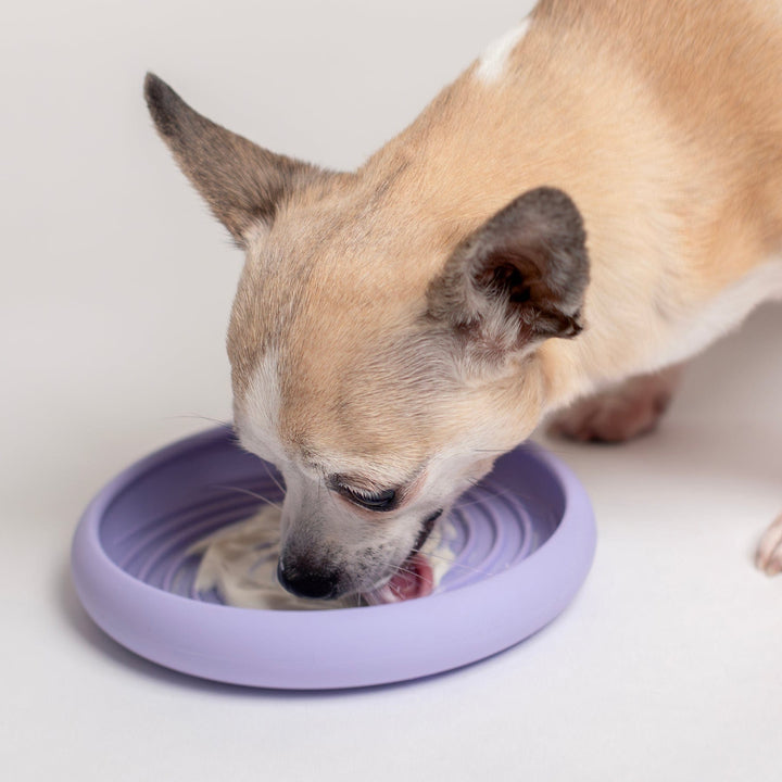 Awoo Lick Dish Slow Feeder For Dogs
