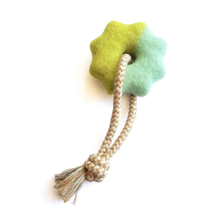 Awoo Lime Aqua Wheely Good Time Felt Dog Toy