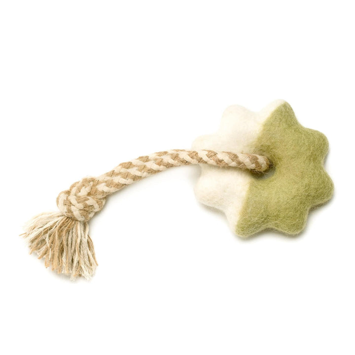 Awoo Limex Wheely Good Time Felt Dog Toy