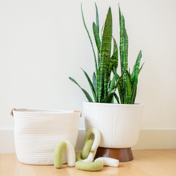 Awoo Link Felt Dog Toy