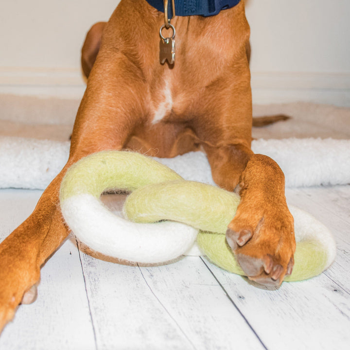 Awoo Link Felt Dog Toy