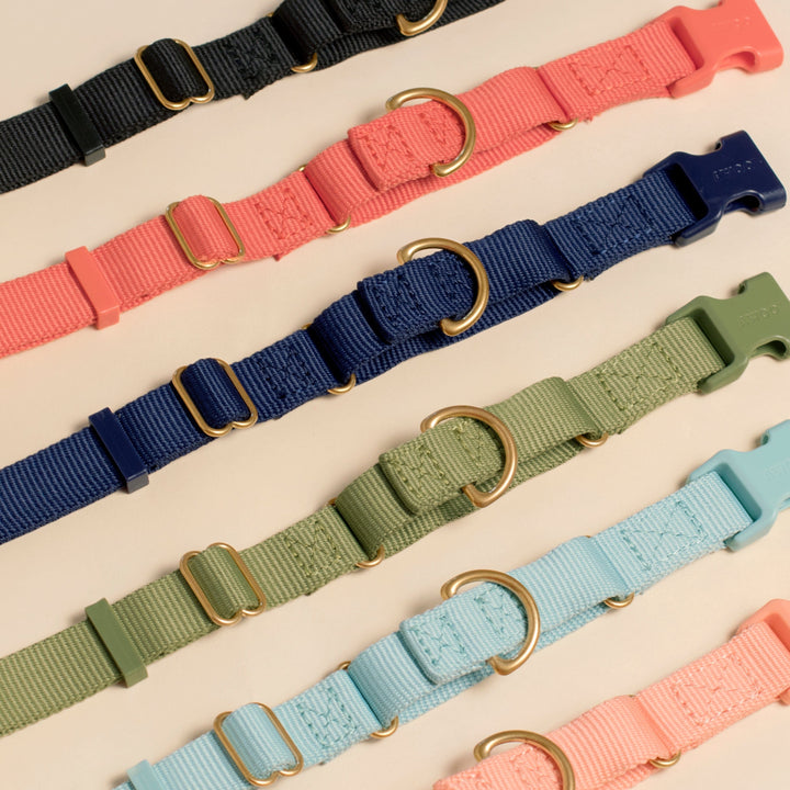 Awoo Marty Dog Collar