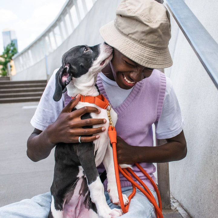 Awoo Marty Dog Collar