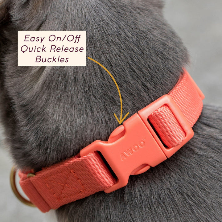 Awoo Marty Dog Collar