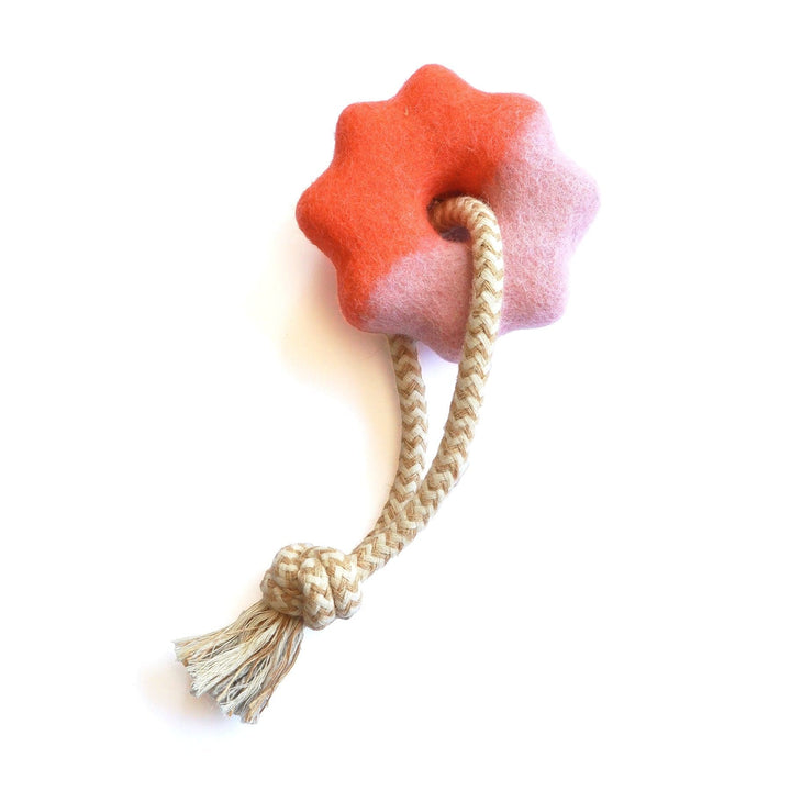 Awoo Orange Pink Wheely Good Time Felt Dog Toy