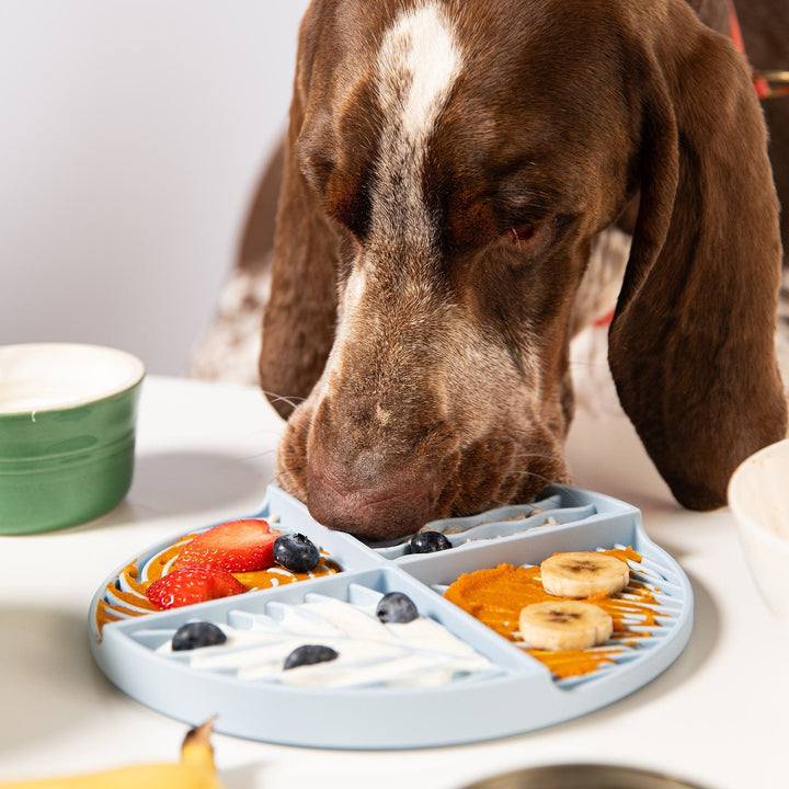Awoo Paradise Lick Mat For Dogs