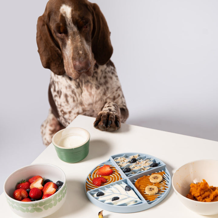 Awoo Paradise Lick Mat For Dogs