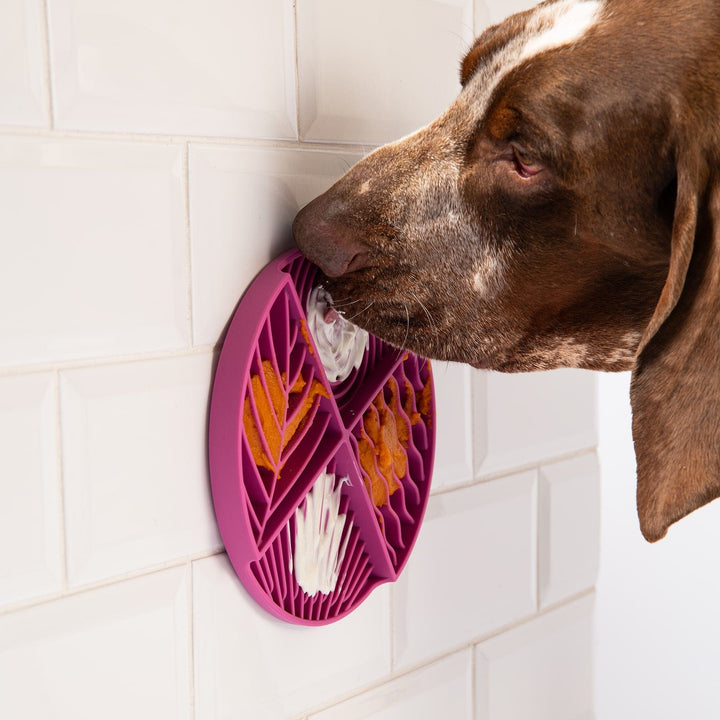 Awoo Paradise Lick Mat For Dogs