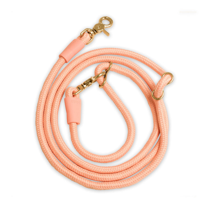 Awoo PEACH Recycled Infinity Dog Leash
