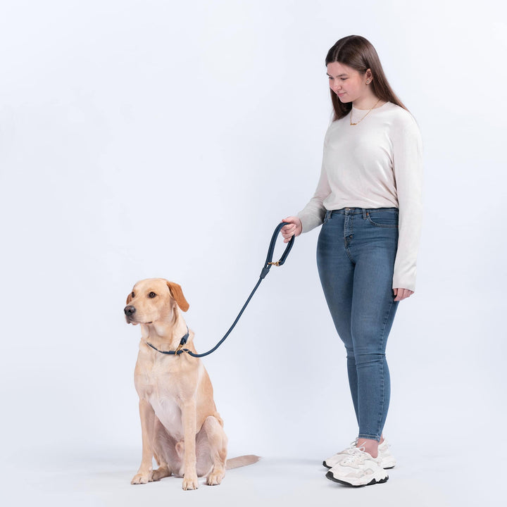 Awoo Pets City Dog Leash