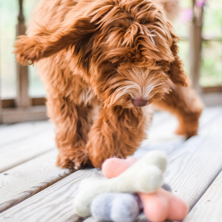 Awoo Pets Handcrafted Felt Bone Dog Toy