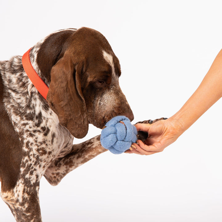 Awoo Pets Knot Felt Puzzle Dog Toy