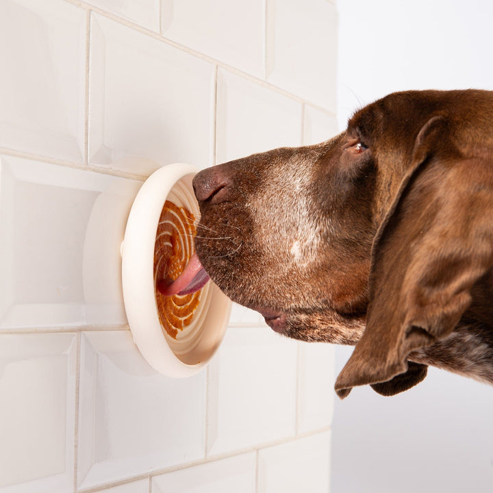 Awoo Pets Lick Dish Slow Feeder For Dogs