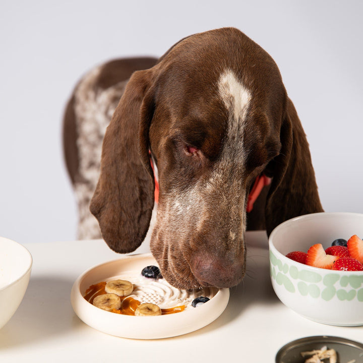 Awoo Pets Lick Dish Slow Feeder For Dogs