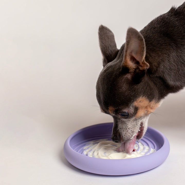 Awoo Pets PERI Lick Dish Slow Feeder For Dogs