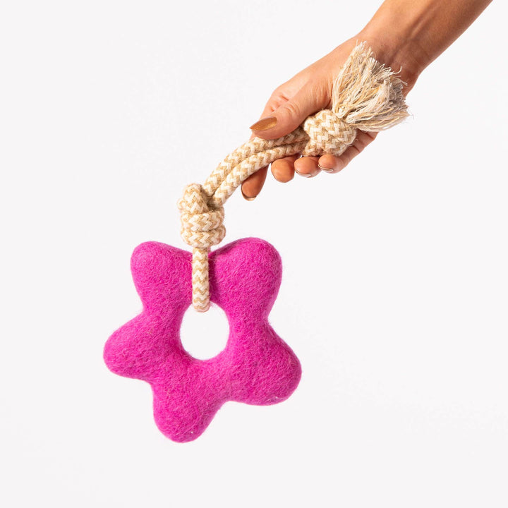 Awoo Pets Pullin' Posies Felt Dog Toy