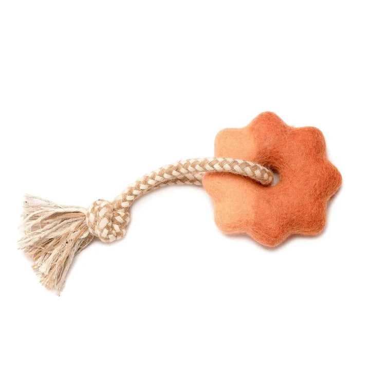 Awoo Pets Tangerine Wheely Good Time Felt Dog Toy