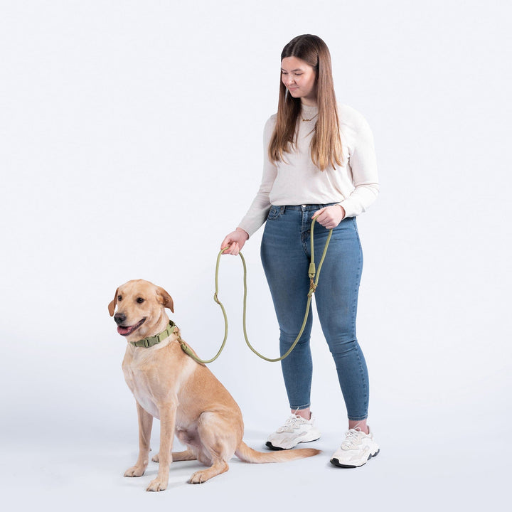 Awoo Recycled Infinity Dog Leash