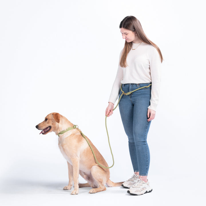Awoo Recycled Infinity Dog Leash