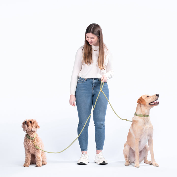 Awoo Recycled Infinity Dog Leash