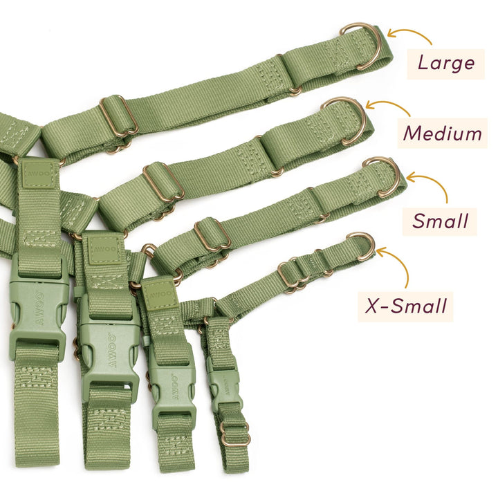 Awoo Roam Harness