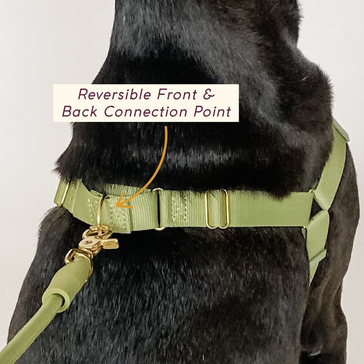Awoo Roam Harness