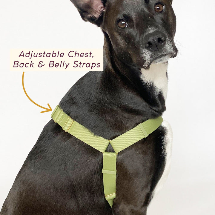 Awoo Roam Harness