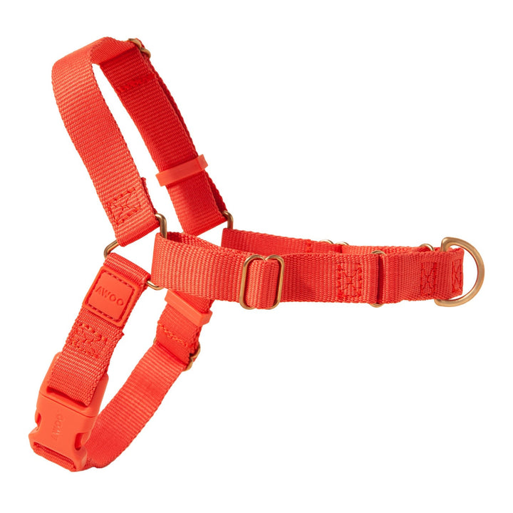 Awoo Roam Harness