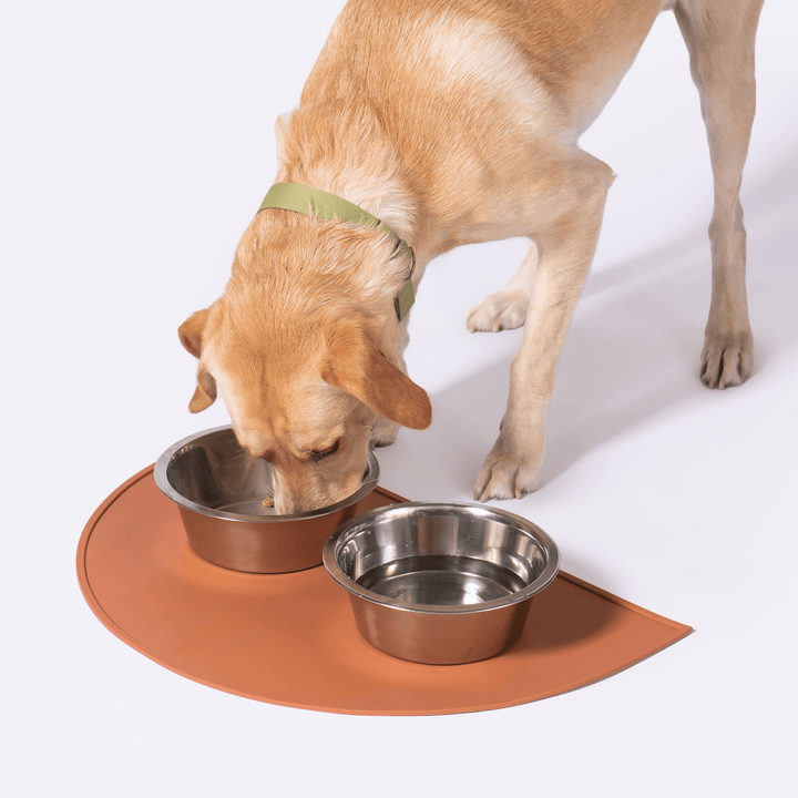 Awoo Silicone Splash Feeding Mat For Dogs