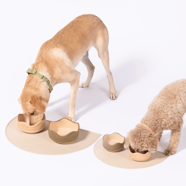 Awoo Silicone Splash Feeding Mat For Dogs