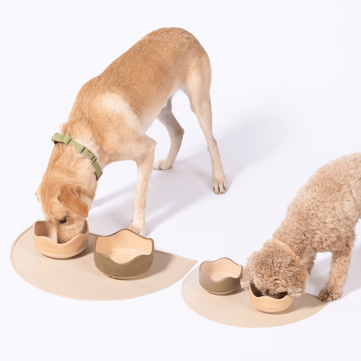 Awoo Silicone Splash Feeding Mat For Dogs